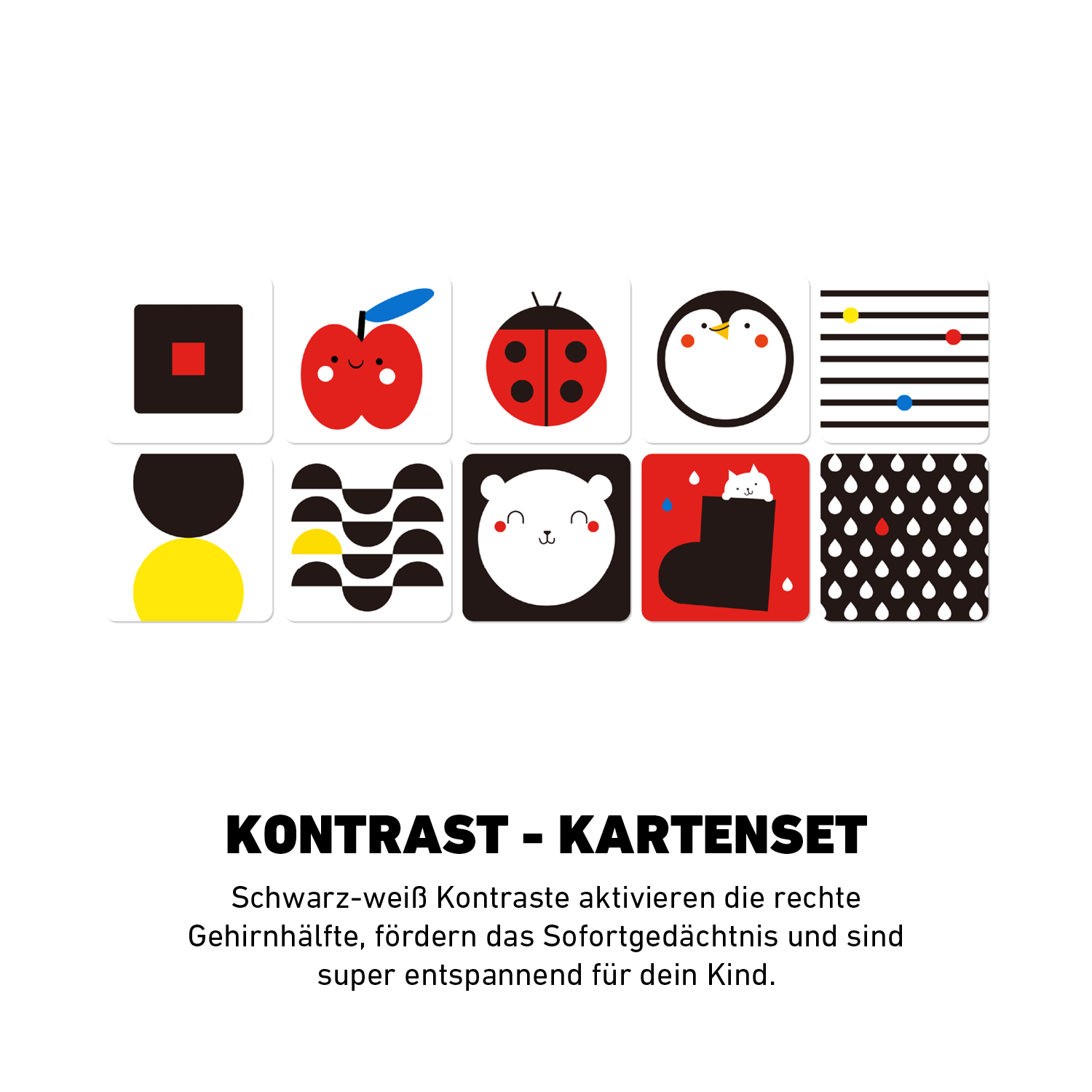 Das Entdeckerset™