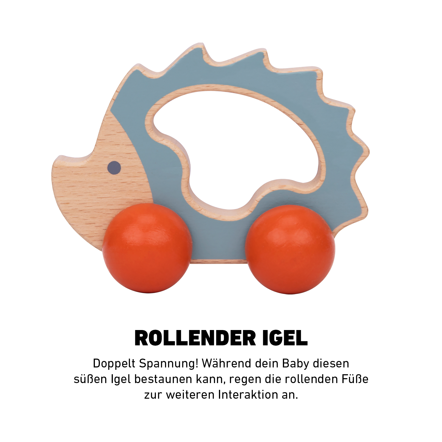 Das Forscherset™