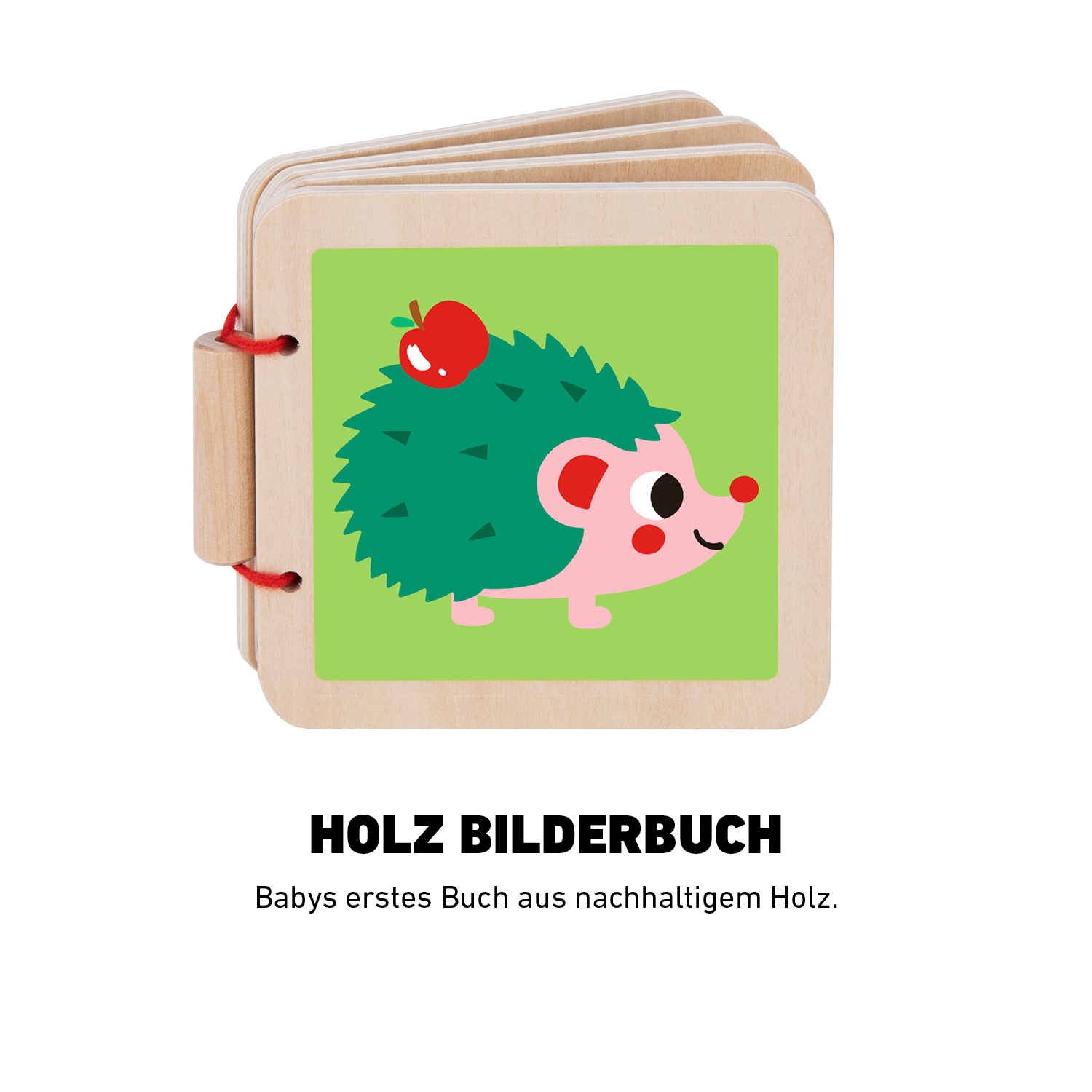 Das Forscherset™