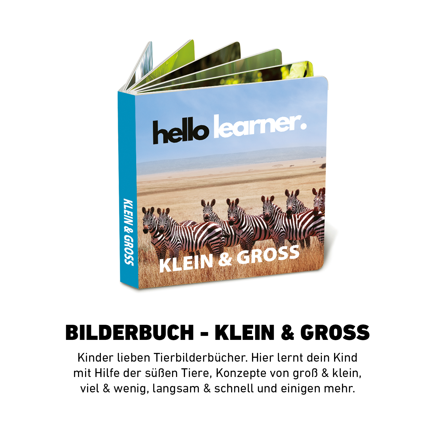 Das Denkerset™