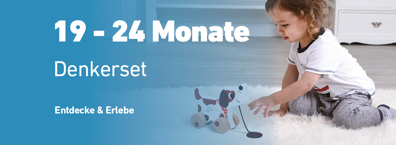Denkerset - Montessori Spielset für Kinder  von 1 bis 2 Jahren zur Förderung logischen Denkens